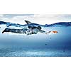 Young businessman with shark flipper swiming under water