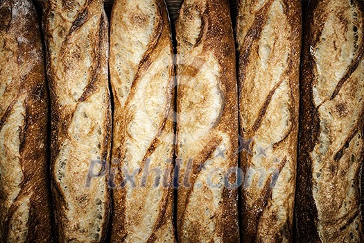 Fresh artisan baguette bread loaves in a row Fresh artisan baguette bread loaves in a row