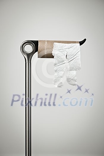Metal stand with empty toilet paper roll Metal stand with empty toilet paper roll