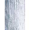Textured background of distressed rustic wood with peeling blue and white paint