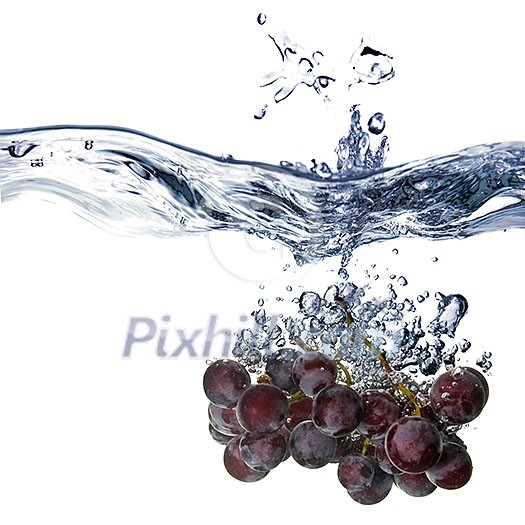 blue grape dropped into water with splash isolated on white blue grape dropped into water with splash isolated on white