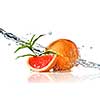 Water splash on grapefruit with mint isolated on white