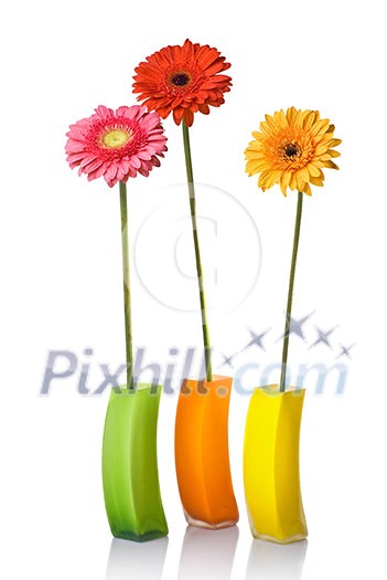 Bouquet from daisy-gerbera in glass vase isolated on white Bouquet from daisy-gerbera in glass vase isolated on white