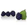 blackberry with green leaf isolated on white
