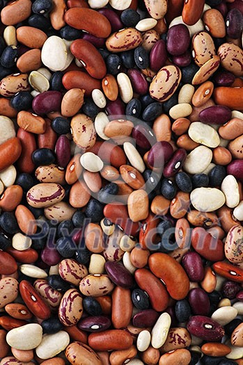 Assorted mix of various loose dry beans Assorted mix of various loose dry beans