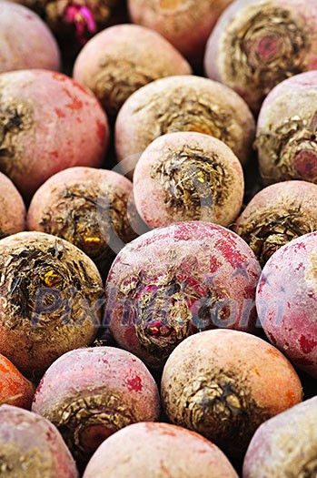 Close up of many whole red and golden beets Close up of many whole red and golden beets