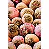 Close up of many whole red and golden beets