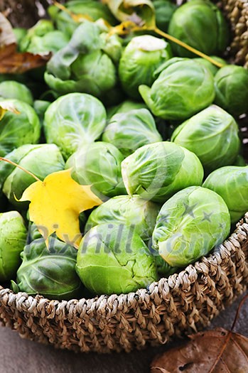 Basket of green brussels sprouts with autumn leaves Basket of green brussels sprouts with autumn leaves