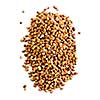 Buckwheat seeds closeup isolated on white background