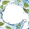 water splash with green mint isolated on white