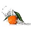 Tangerine with water splash isolated on white