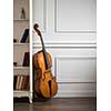 Cello in classical interior near bookshelf