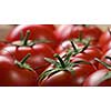red tomatoes background. top view. Header for website