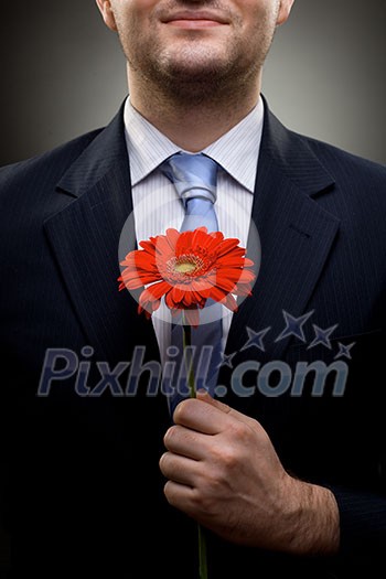 closeup portrait of smiling businessman holding red flower closeup portrait of smiling businessman holding red flower
