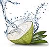 Green coconut with water splash isolated on white