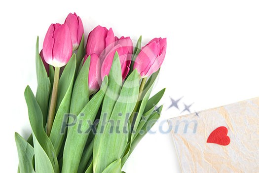 close-up pink tulips with gift isolated on white close-up pink tulips with gift isolated on white