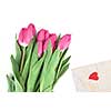 close-up pink tulips with gift isolated on white