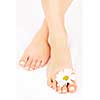 Soft female feet with pedicure and flowers close up