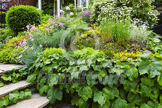 Landscaped garden at house with natural stone steps Landscaped garden at house with natural stone steps