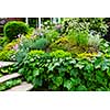 Landscaped garden at house with natural stone steps