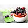 Ripe mulberry berries in a bowl, freshly picked