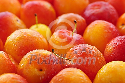 Freshly picked juicy plums as a background Freshly picked juicy plums as a background