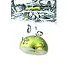green apple dropped into water with splash isolated on white