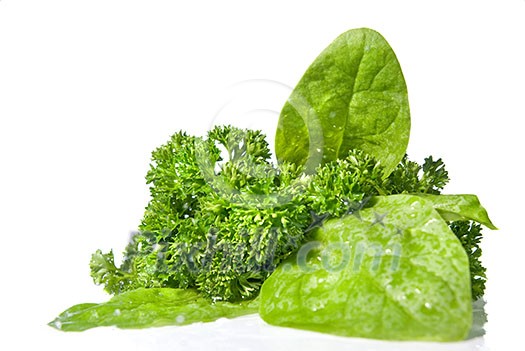 green spinach isolated on white green spinach isolated on white