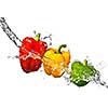 red, yellow and green pepper with water splash isolated on white