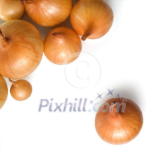 onion isolated on white