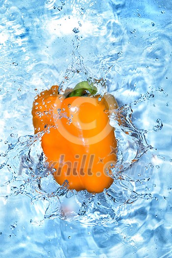 Yellow pepper dropped into water with bubbles isolated on white Yellow pepper dropped into water with bubbles isolated on white