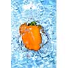 Yellow pepper dropped into water with bubbles isolated on white