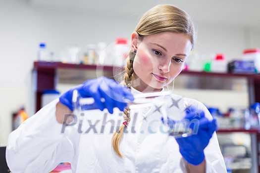 Portrait of a female researcher carrying out research in a chemistry lab (color toned image; shallow DOF) Portrait of a female researcher carrying out research in a chemistry lab (color toned image; shallow DOF)
