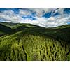 Aerial view of mountains covered with coniferous forests