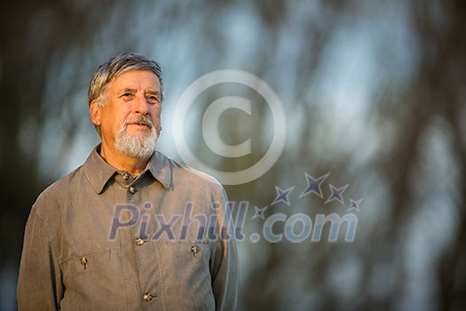 Portrait of a senior man outdoors, walking in a park (shallow DOF; color toned image) Portrait of a senior man outdoors, walking in a park (shallow DOF; color toned image)