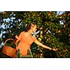 Pretty, young woman picking apricots lit by warm summer evening light (shallow DOF; color toned image)