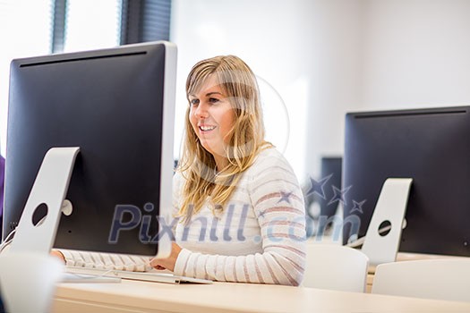 Female student/ businesswoman using a desktop computer staying up to date, working (color toned image; shallow DOF) Female student/ businesswoman using a desktop computer staying up to date, working (color toned image; shallow DOF)