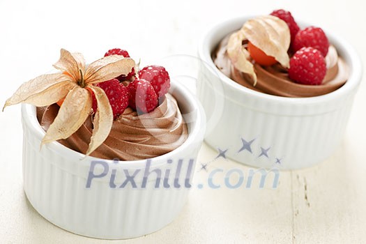 Two servings of chocolate mousse dessert with fruit Two servings of chocolate mousse dessert with fruit
