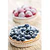 Closeup of fancy gourmet fresh berry dessert tarts