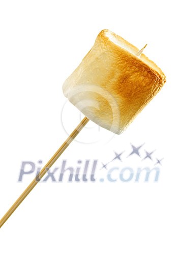 Golden toasted marshmallow on a wooden skewer Golden toasted marshmallow on a wooden skewer