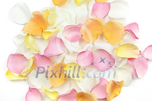 Abstract background of fresh scattered rose petals Abstract background of fresh scattered rose petals