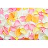 Abstract background of fresh scattered rose petals