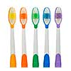 Close up of multicolored toothbrushes on white background