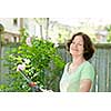 Happy senior woman enjoying gardening and pruning rose bush with clippers