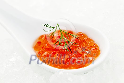 Closeup of caviar with dill garnish in white spoon on ice Closeup of caviar with dill garnish in white spoon on ice
