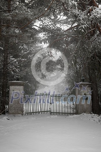 Spooky old broken gate on driveway in winter Spooky old broken gate on driveway in winter