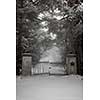 Spooky old broken gate on driveway in winter