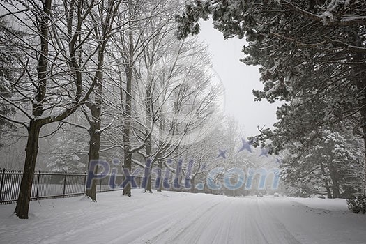 Trees and fence along slippery winter road covered in thick snow. Toronto, Canada. Trees and fence along slippery winter road covered in thick snow. Toronto, Canada.