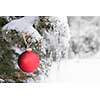 Red Christmas ornament hanging on snow covered spruce tree outside