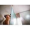 Young woman washing her hair with shampoo, taking a hot long shower